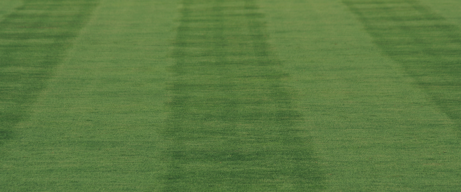 Leaf Removal JLS Lawn Care and Snow Removal