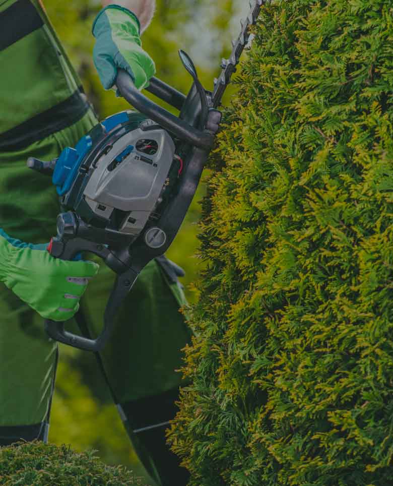 Shrub Trimming Service JLS Lawn Care and Snow Removal