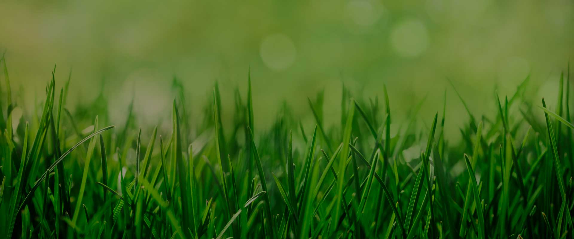 Contact JLS Lawn Care and Snow Removal