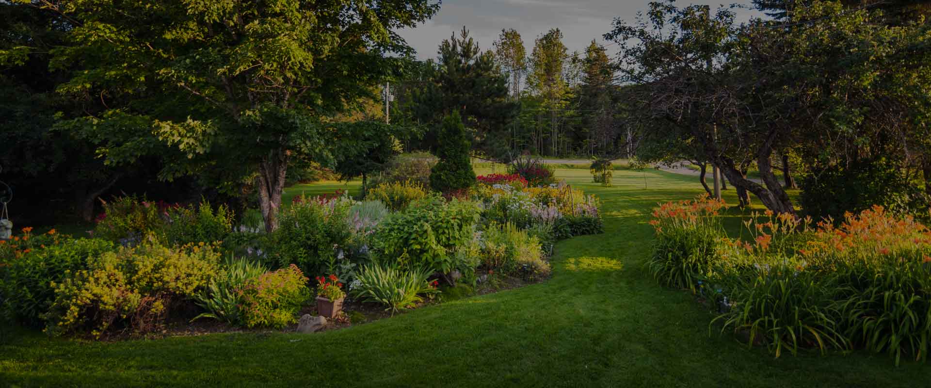 Weed Control JLS Lawn Care and Snow Removal